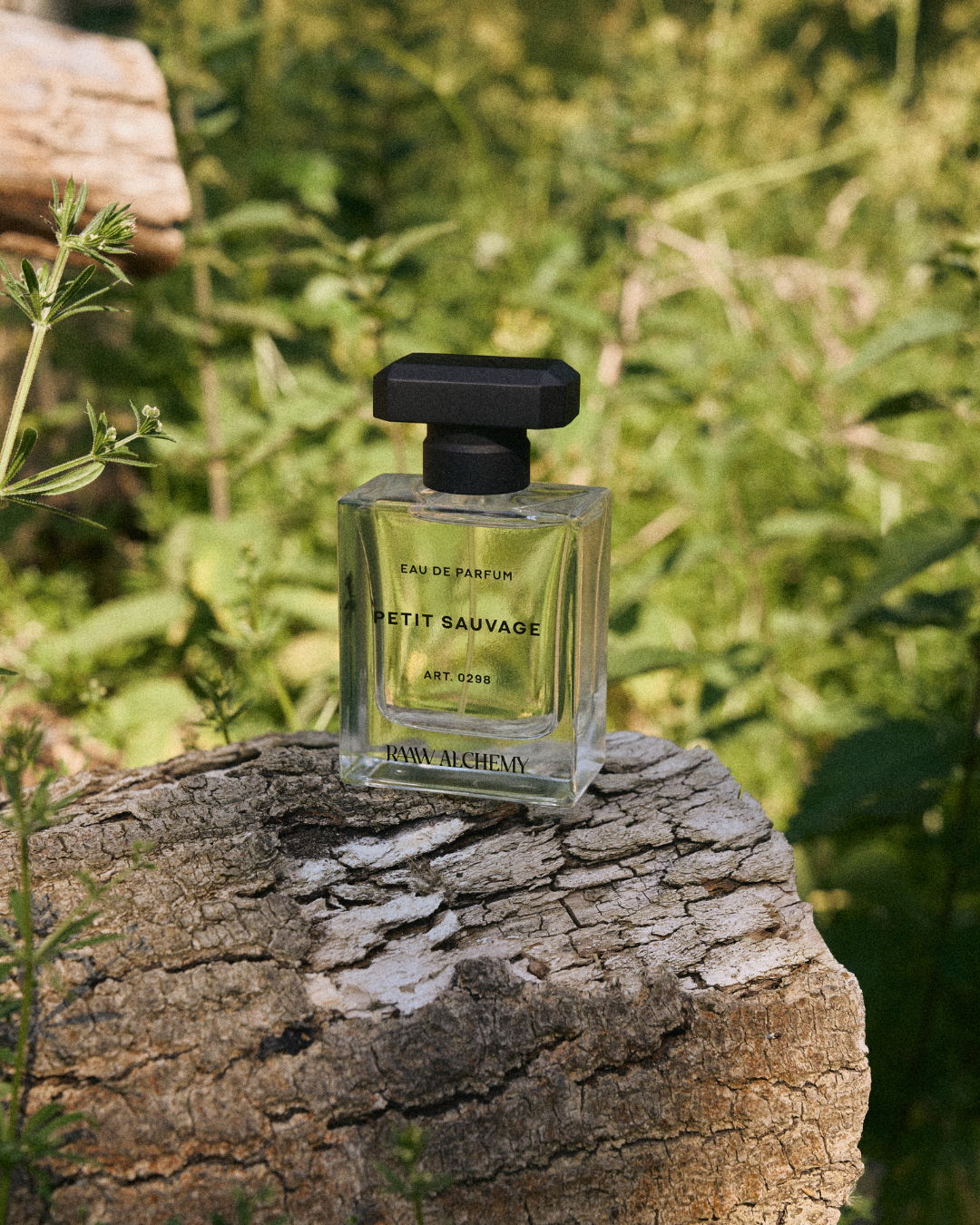 PETIT SAUVAGE