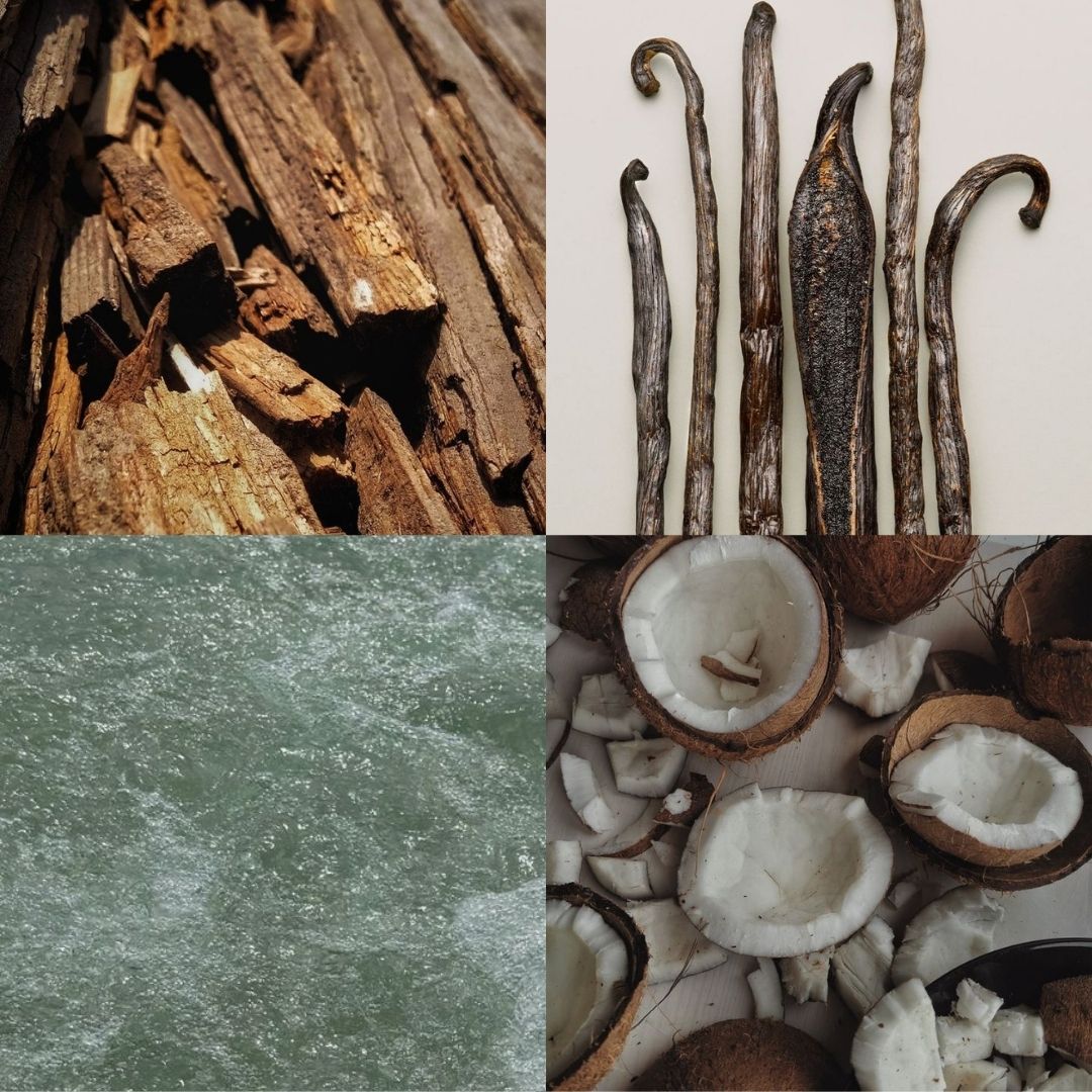 Visual fragrance profile for Hazy Vanille featuring notes of vanilla pods, coconut, salt water, and sandalwood.