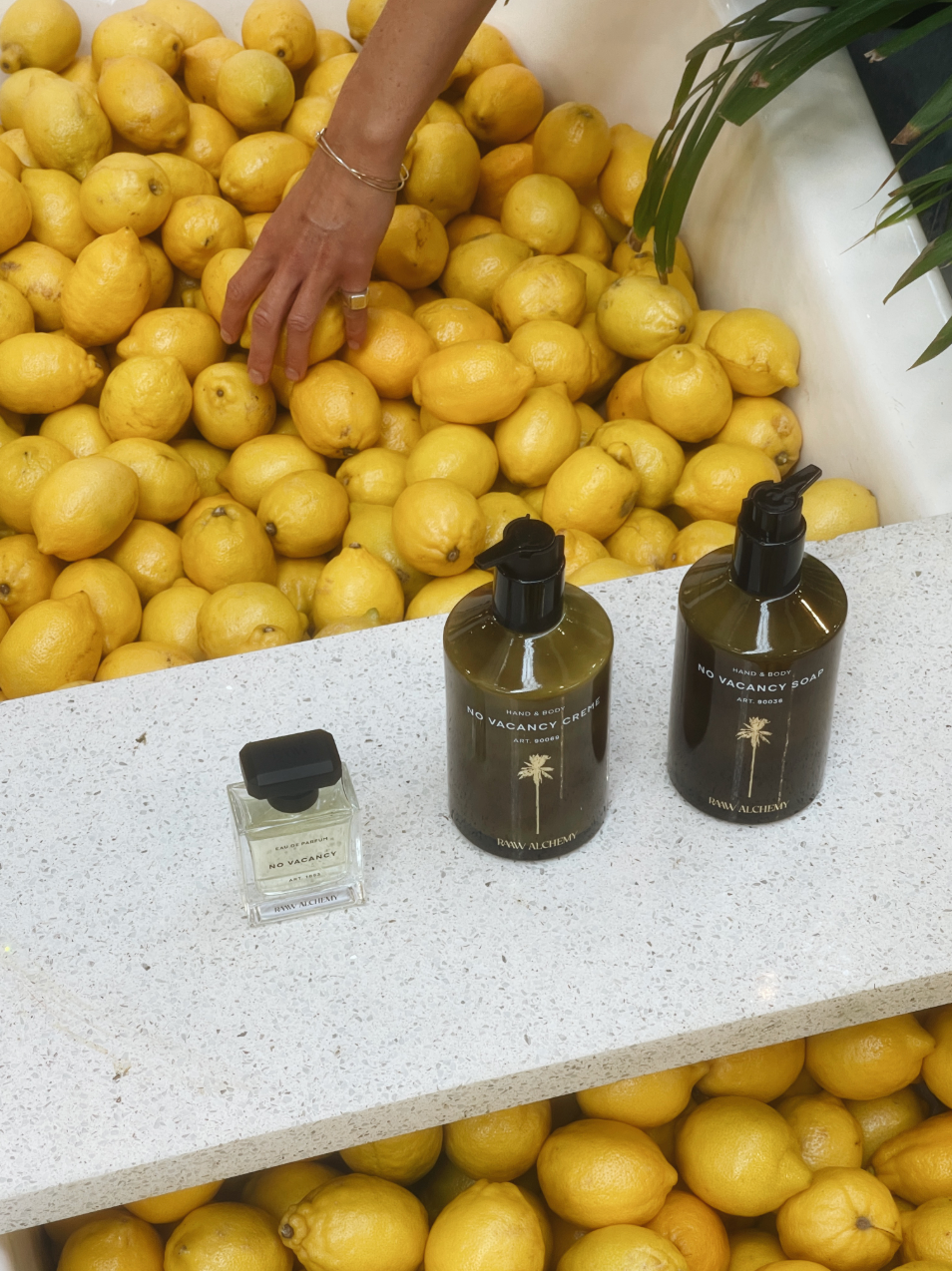 RAAW Alchemy No Vacancy collection featuring soap, creme, and perfume displayed with a bathtub full of fresh lemons.