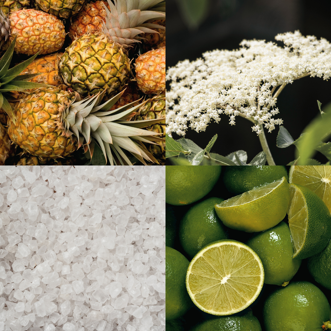 Visual fragrance profile for Petit Sauvage showing notes of fresh pineapple, lime, salt and botanical elderflower.