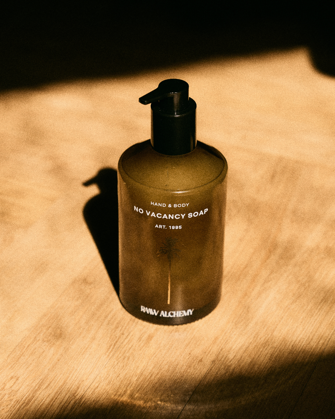 NO VACANCY SOAP