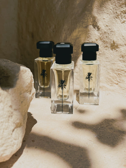 A trio of RAAW Alchemy perfume bottles, including Blackened Santal, displayed in a row on a rustic stone surface.
