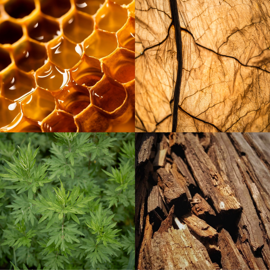 Visual fragrance profile for Lobby Boy featuring notes of golden honey, tobacco leaf, green herbs, and wood notes.