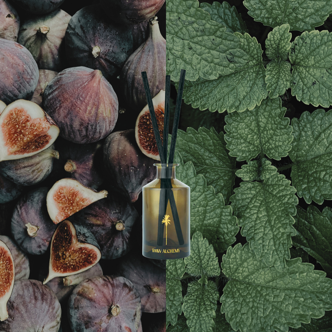 RAAW Alchemy Minted Fig diffuser scent profile featuring fresh mint leaves and ripe figs.
