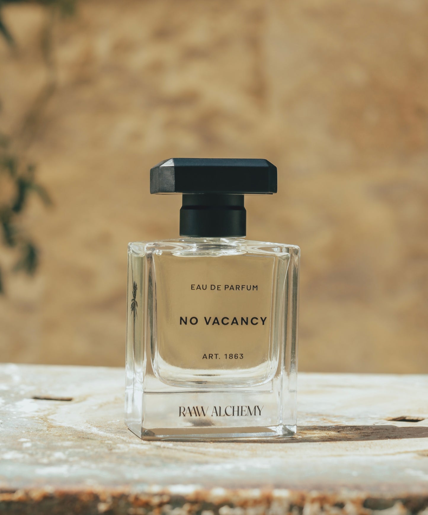No Vacancy Eau de Parfum bottle placed on a rustic stone surface in warm, natural sunlight.