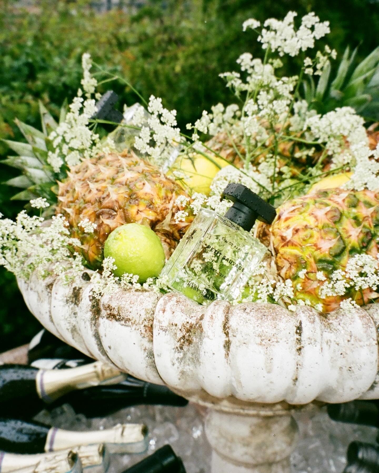 Petit Sauvage perfume bottle styled in a stone bowl with fresh white flowers, pineapple, and lime