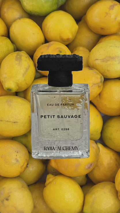 PETIT SAUVAGE
