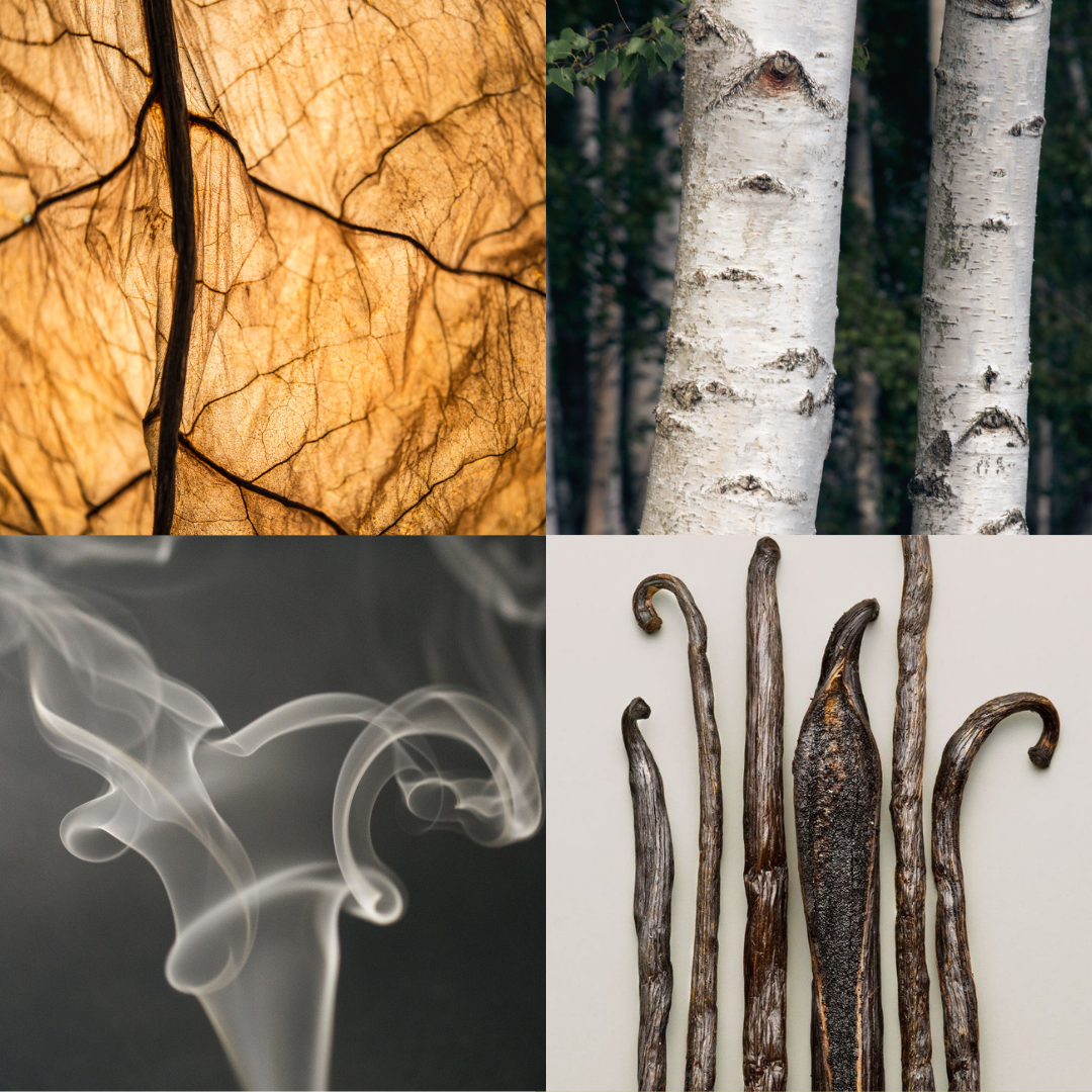 Visual fragrance profile for Room 64 featuring notes of tobacco leaf, birchwood, smoky incense, and vanilla pods.