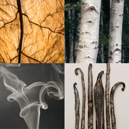 Visual fragrance profile for Room 64 featuring notes of tobacco leaf, birchwood, smoky incense, and vanilla pods.